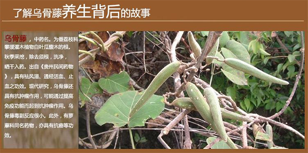 ��α����ڹ���