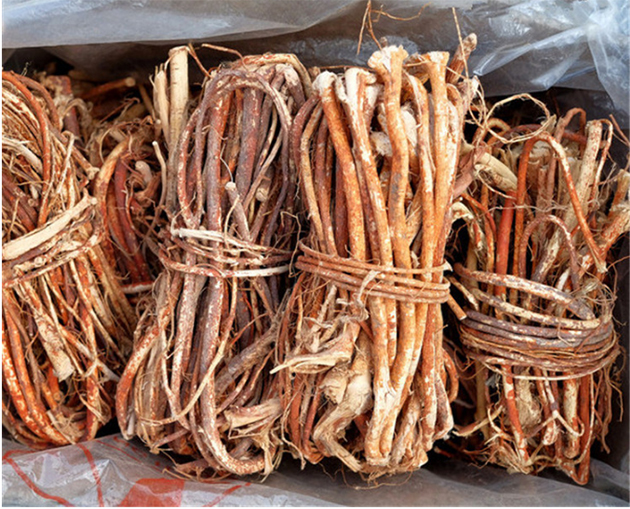 ��α�����ָë��