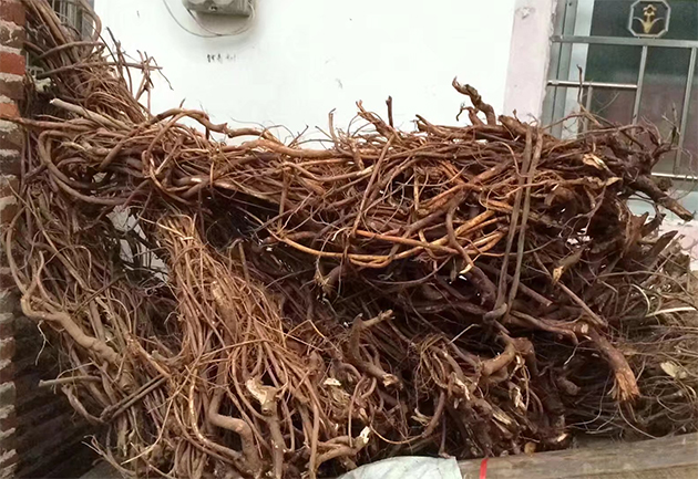 ��α�����ָë��