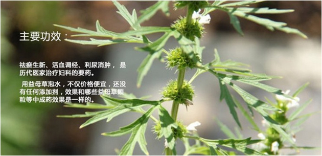 ��α�����ĸ��