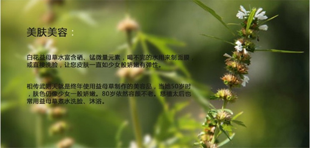 ��α�����ĸ��