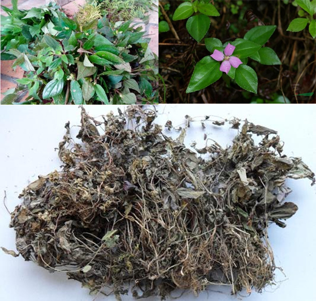 ��񶷲�/��Ĳ�/��ͷ��