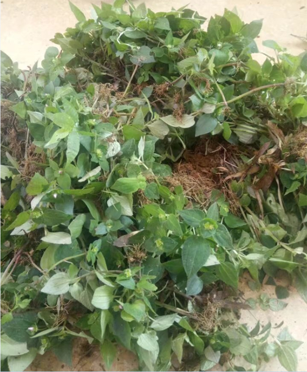 ��񶷲�/��Ĳ�/��ͷ��