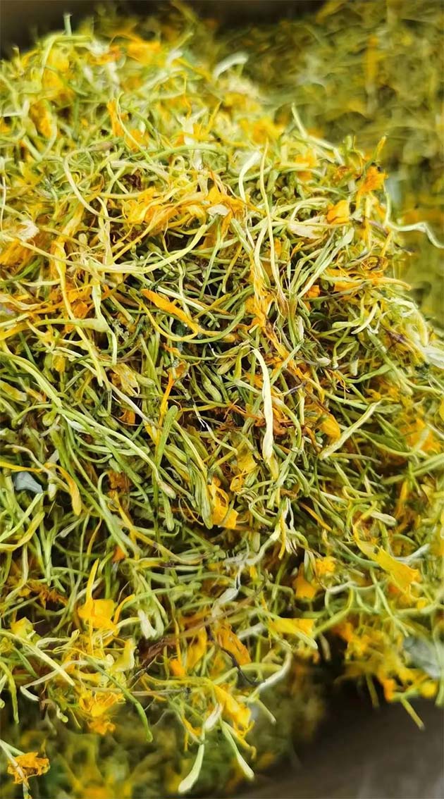 ��α��ݣ�������