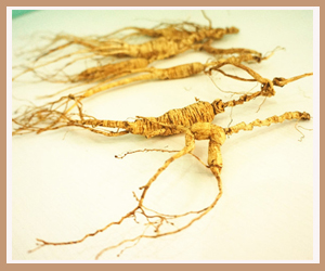 Ұɽ��(��ɽ��)