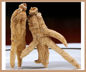 ���ô������