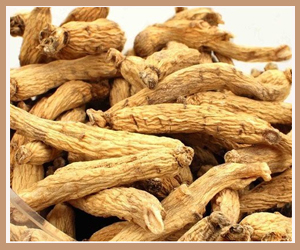 �ձ������