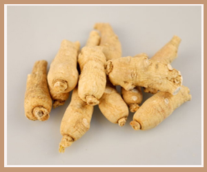 ����ɽ�����