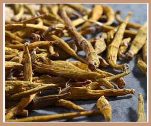 ��Ƥʯ������