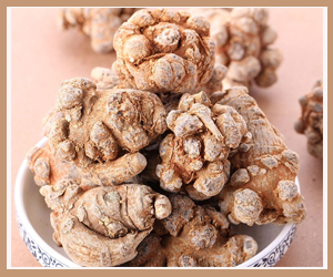 ��ɽ����