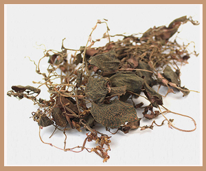 Ұ��������