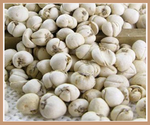 Ұ������