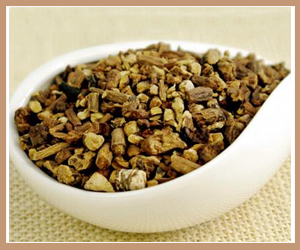 �ѹ�Ӣ����