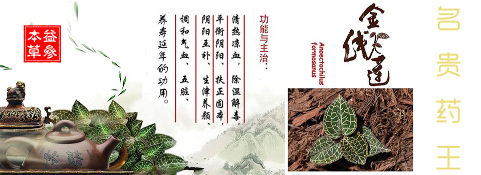 ��������ҩ�����С���α��ݡ��в�ҩ���ں�China-herb