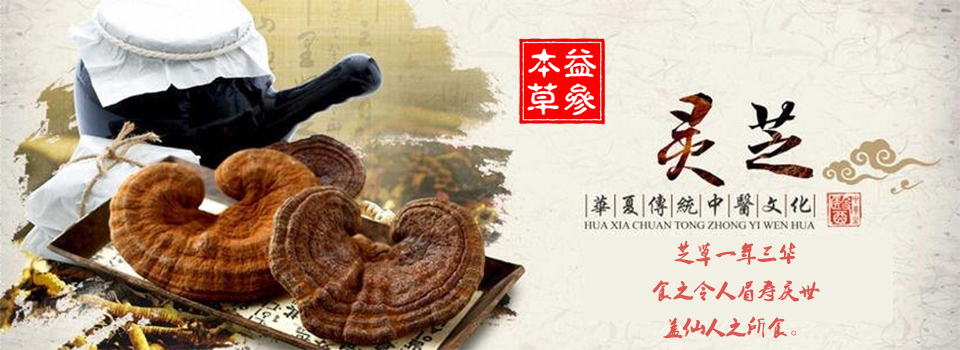 ��������ҩ�����С���α��ݡ��в�ҩ���ں�China-herb