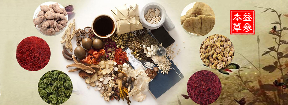 ��������ҩ�����С���α��ݡ��в�ҩ���ں�China-herb